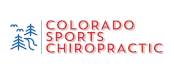 Sponsor CSC Logo